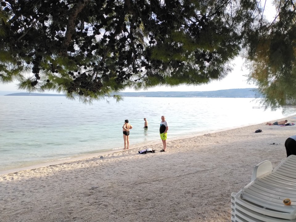 IMG_20261006_163807.jpg