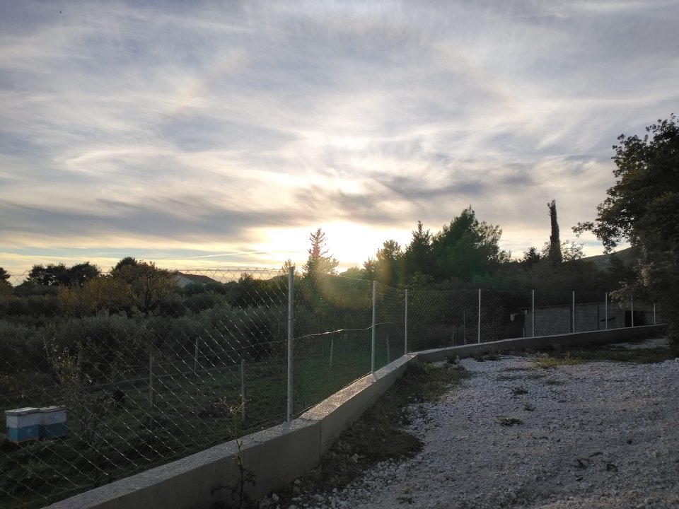 IMG_20261028_160902.jpg
