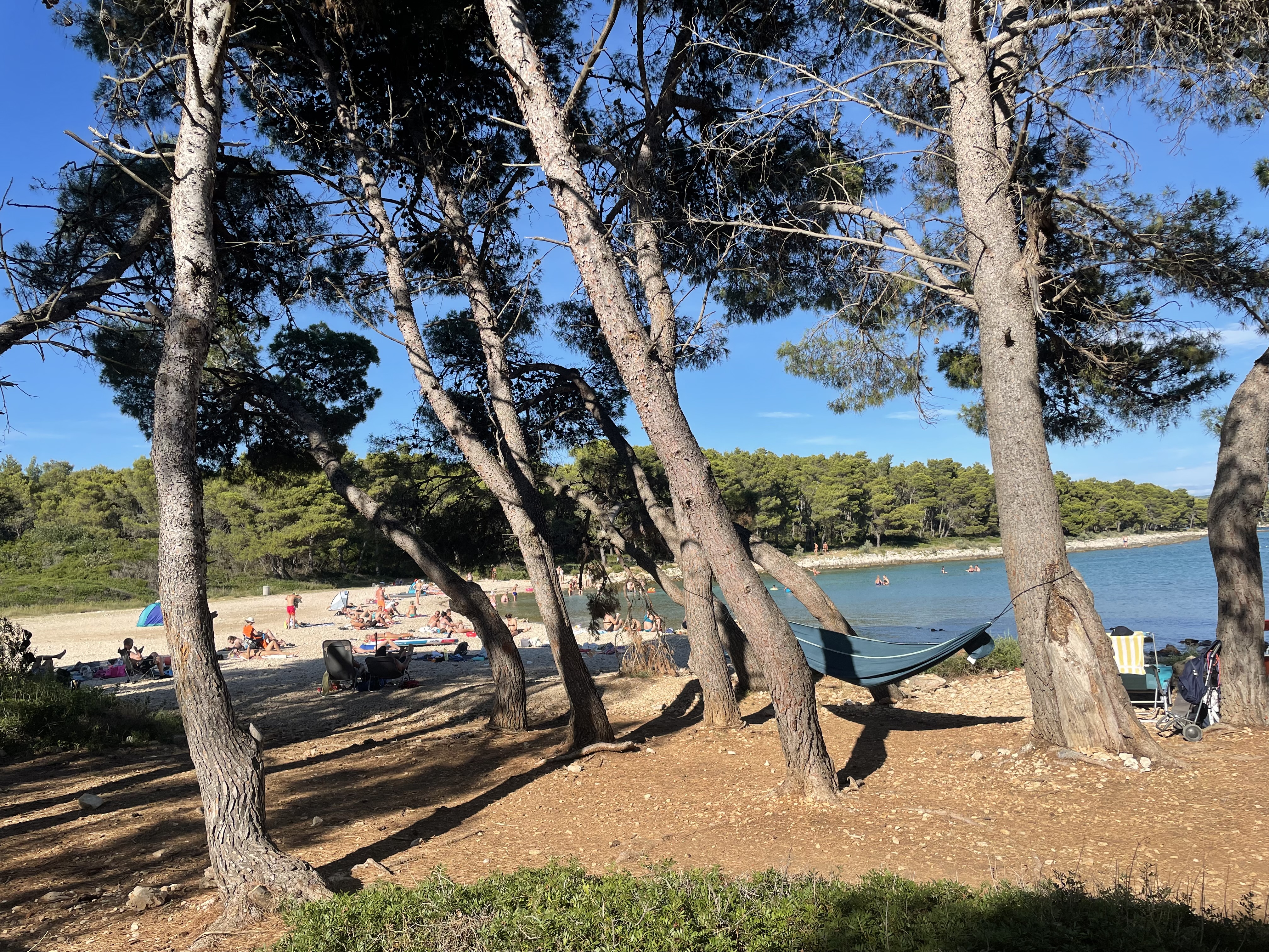 IMG_7823.jpeg