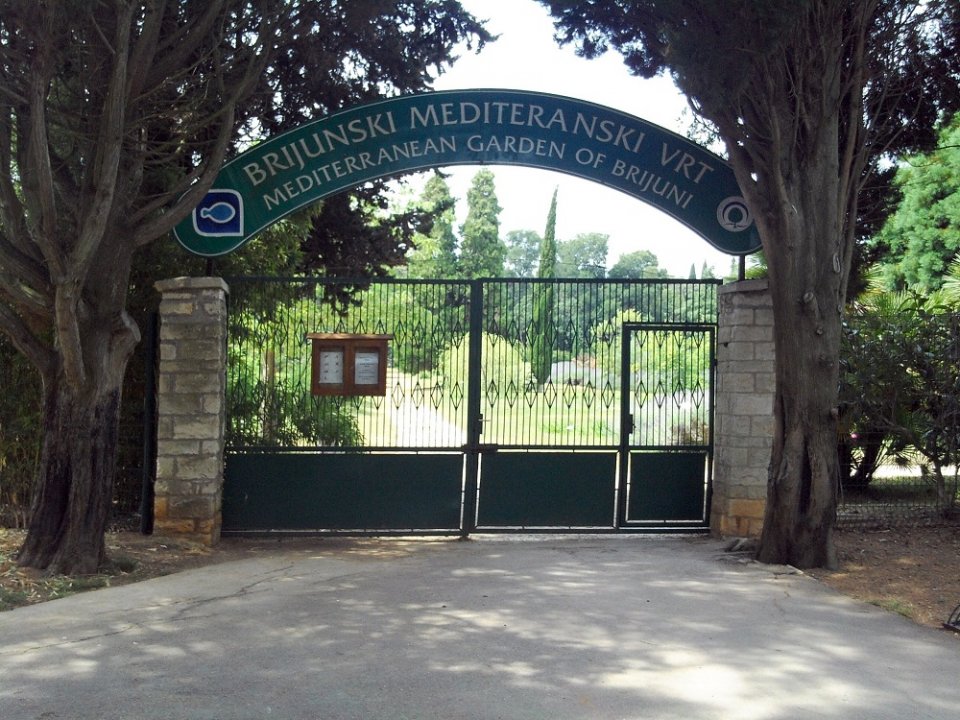 Istrien: BRIJUNI > Garten 1.JPG