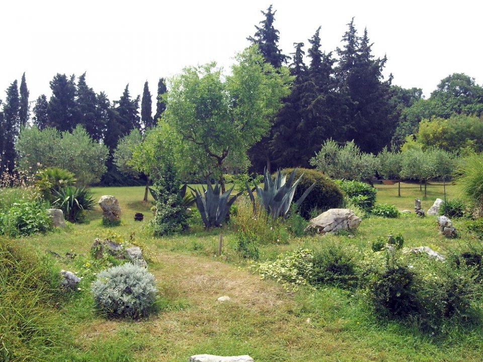 Istrien: BRIJUNI > Garten 3.JPG