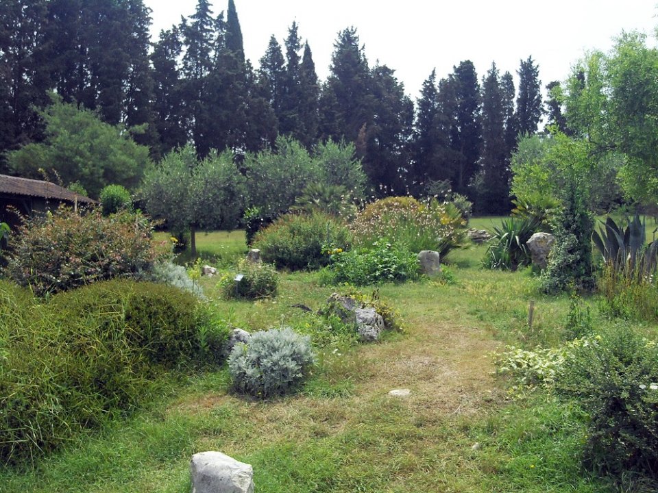 Istrien: BRIJUNI > Garten 4.JPG