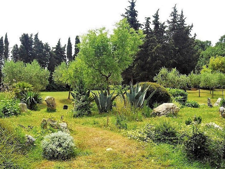 Istrien BRIJUNI Mediterraner Garten 3.JPG