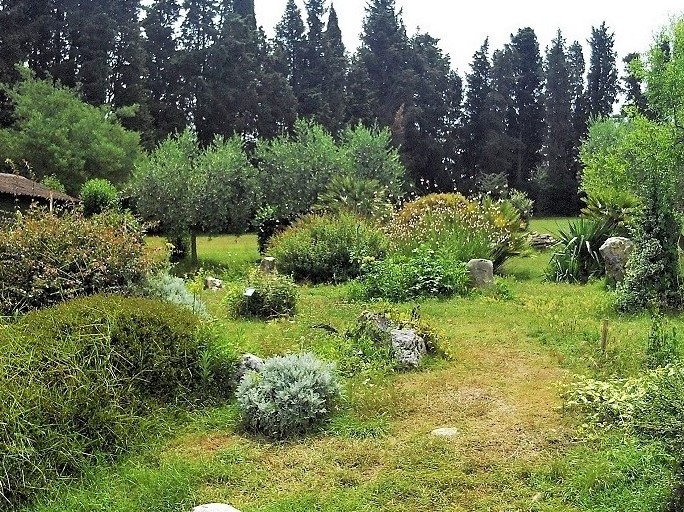 Istrien BRIJUNI Mediterraner Garten 4.JPG