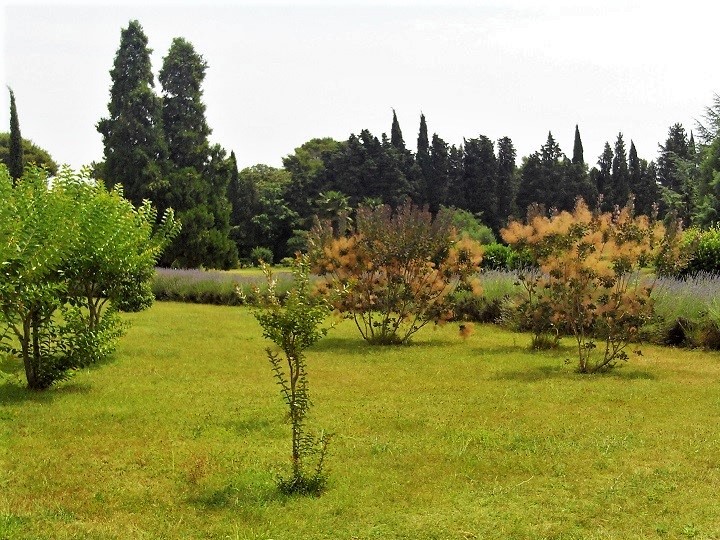 Istrien BRIJUNI Mediterraner Garten 5.JPG