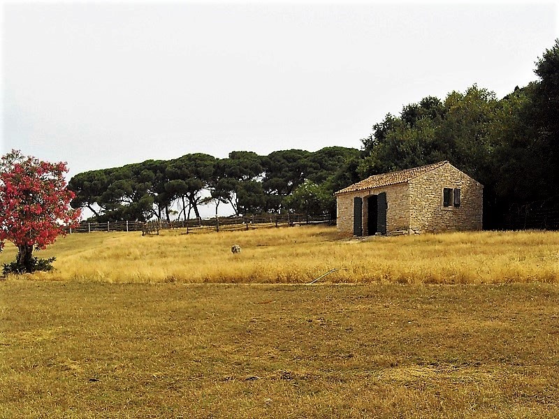 Istrien BRIJUNI Nationalpark 3.JPG