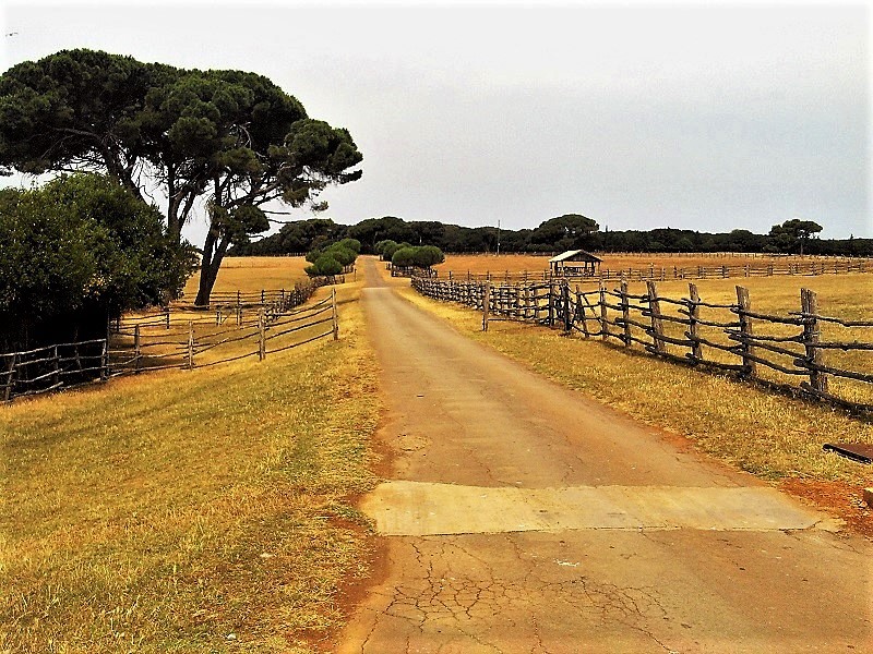 Istrien BRIJUNI Nationalpark 4.JPG