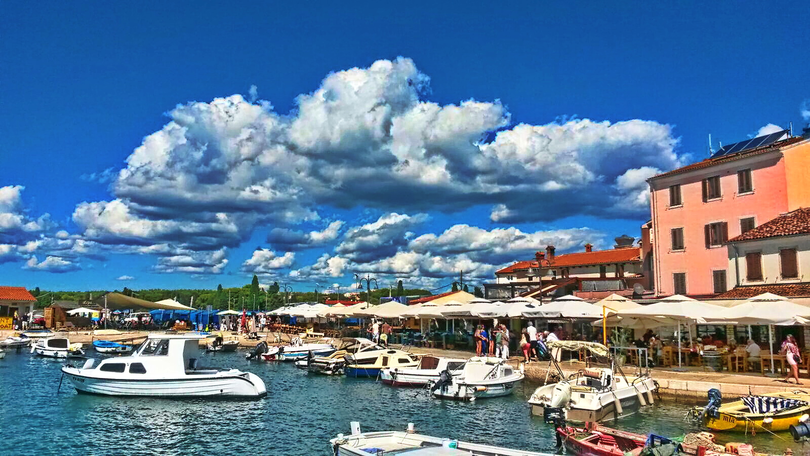 Istrien: FAZANA > am Hafen