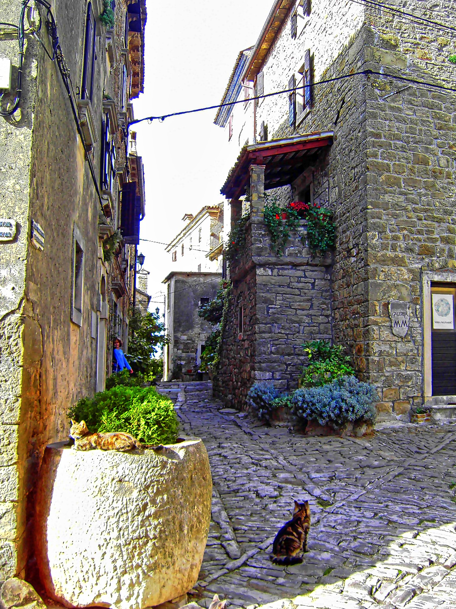 Istrien: GROZNJAN > Altstadtgasse