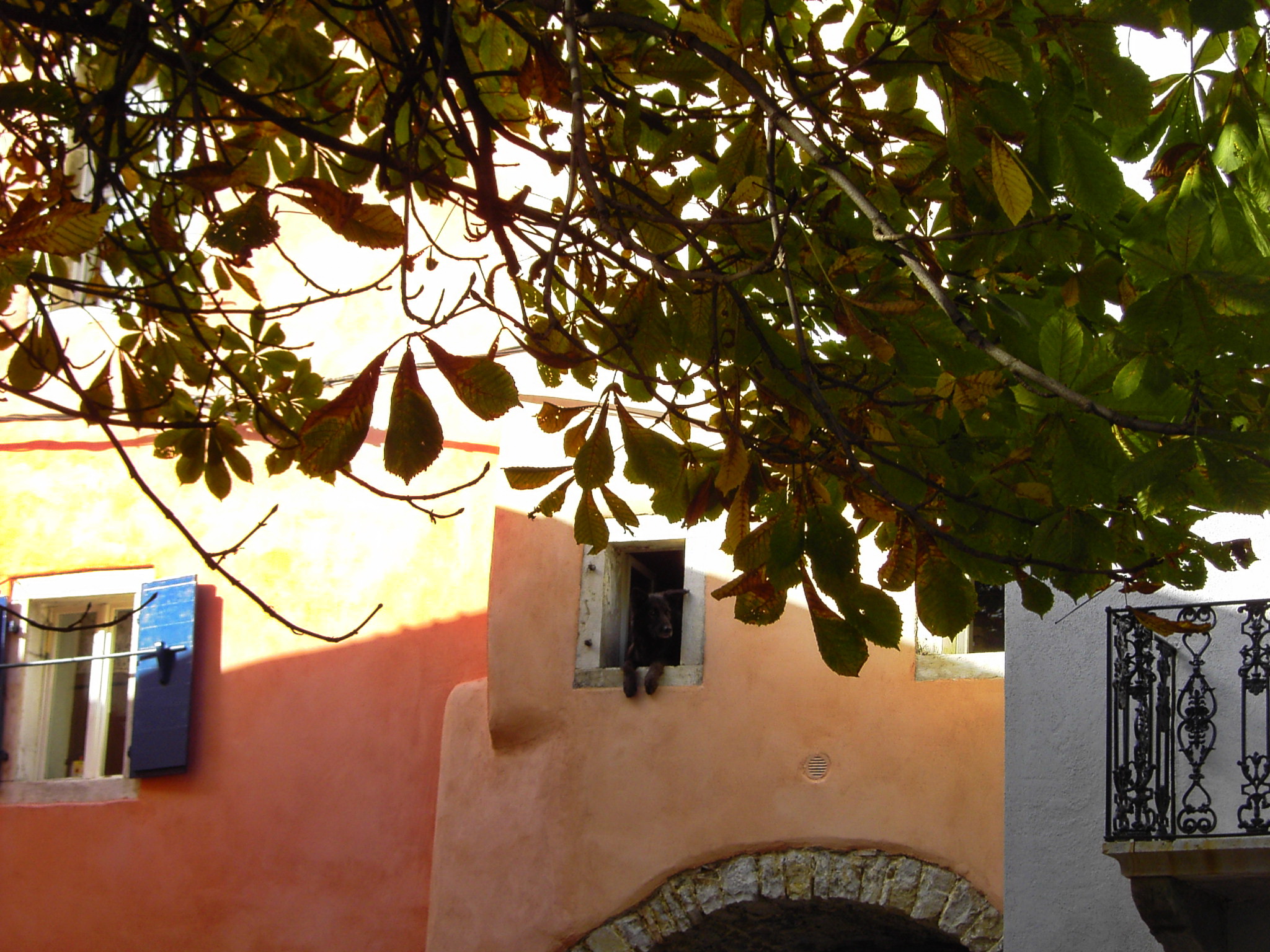 Istrien: GROZNJAN > ohne Touristen