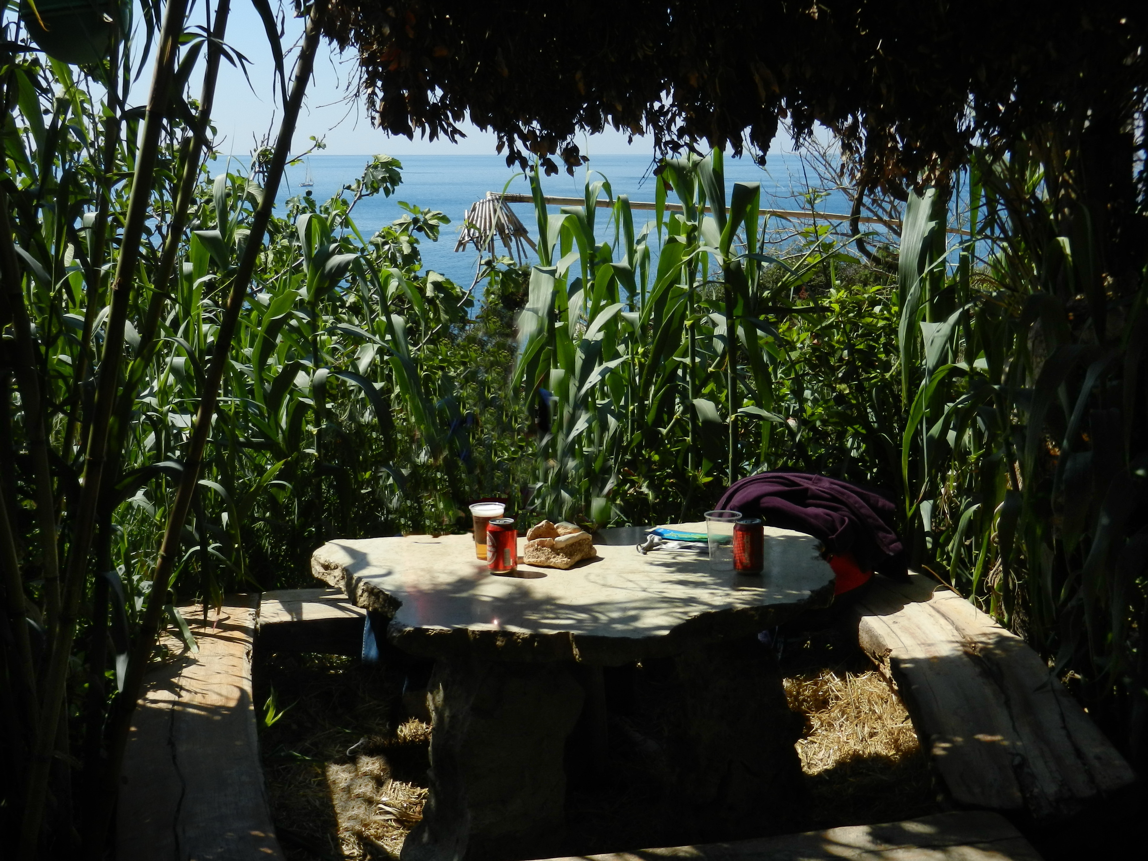 safari bar kamenjak parken