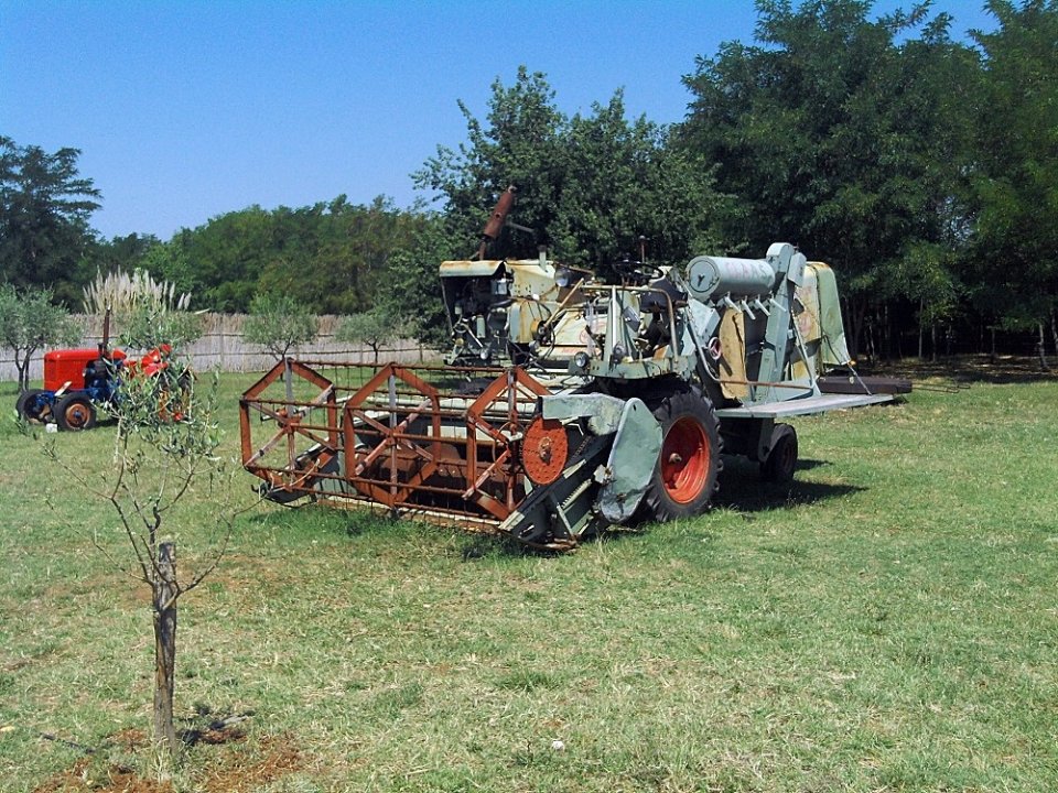 Istrien NOVA VAS Traktorstor 1y.JPG