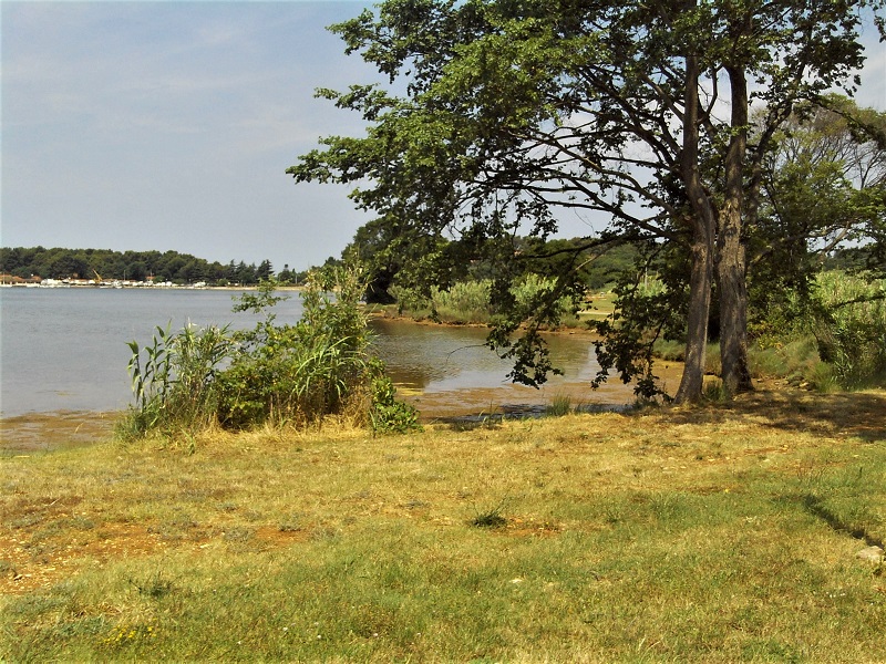 Istrien POREC Zelena Laguna 5.JPG