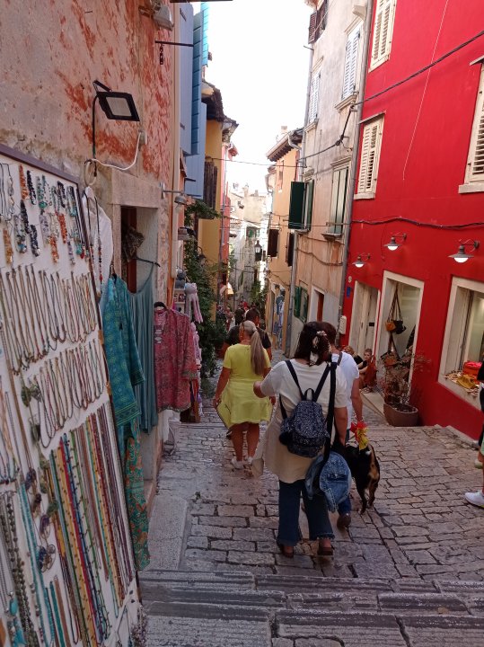 Istrien: Rovinj> Altstadt> Shopping