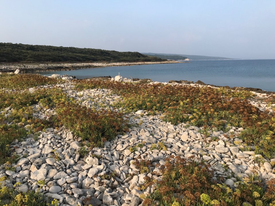 Istrien: SISAN>Küstenwanderung