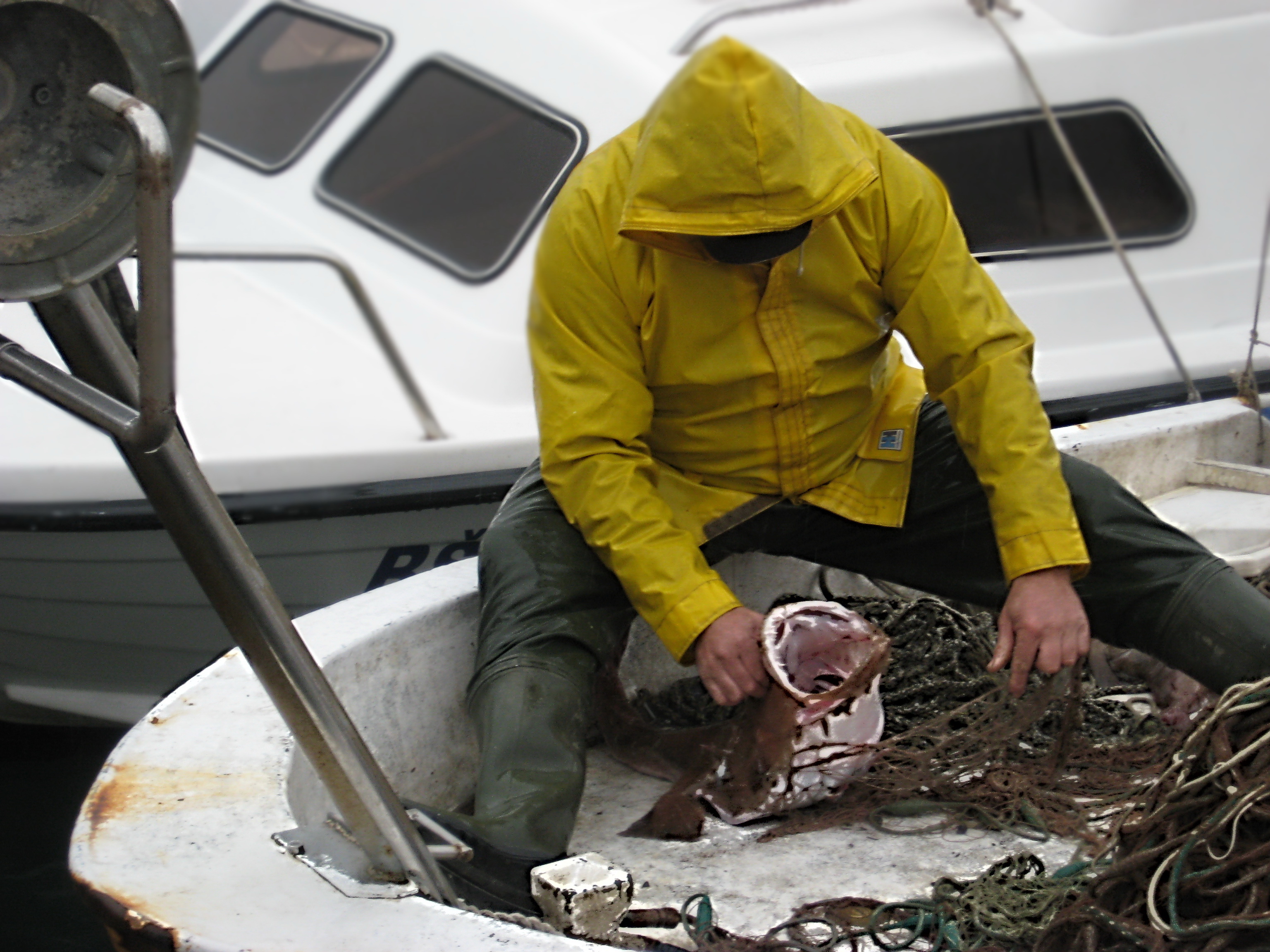 Kvarner > BASKA > Ein Seeteufel,  ein toller Fang