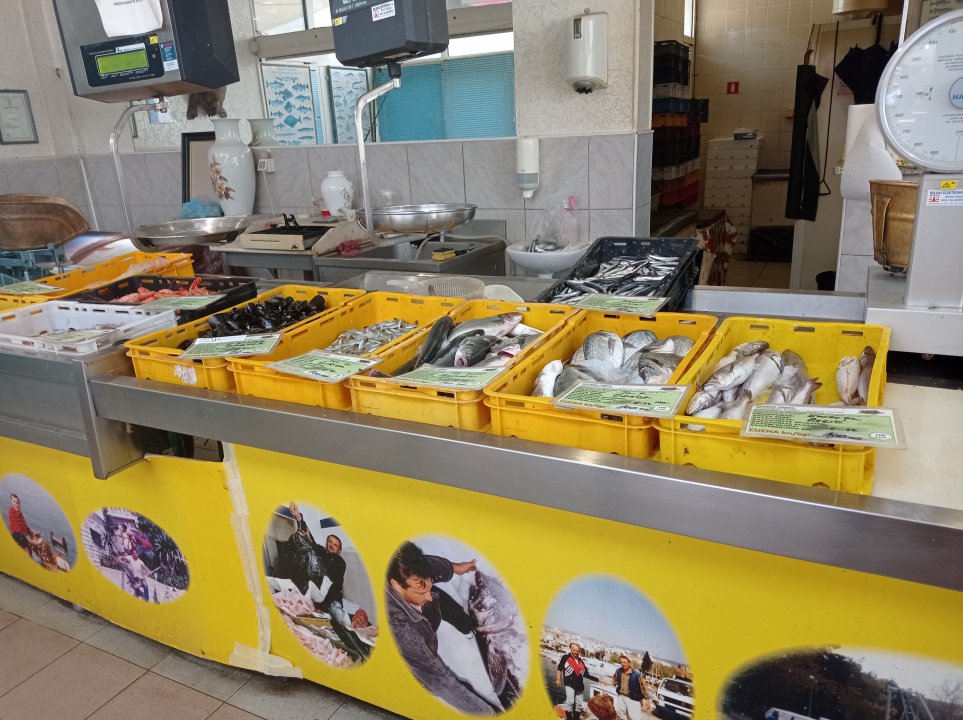 Kvarner: Crikvenica> Fischmarkt