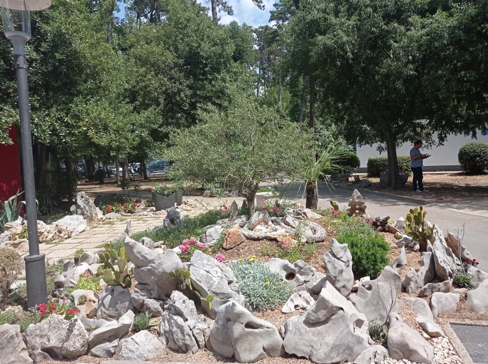 Kvarner: Crikvenica> Park