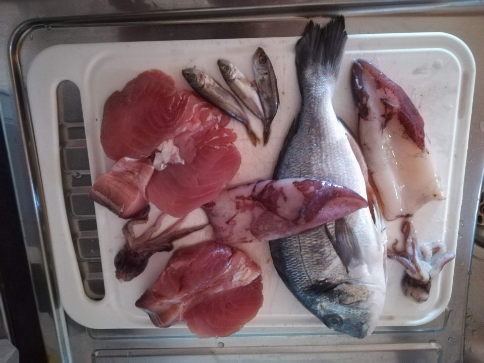 Kvarner: Insel Krk> Njivice