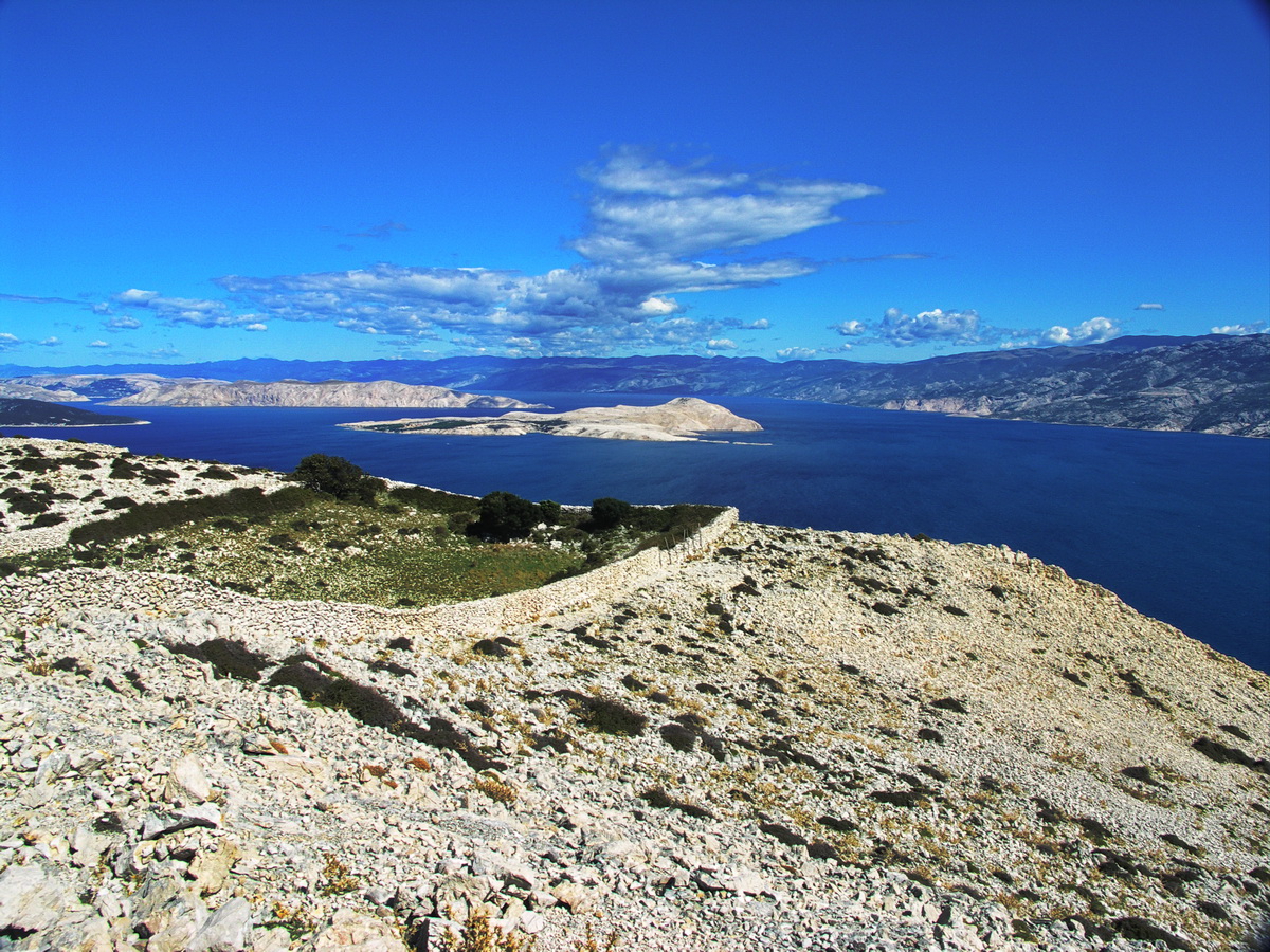 Kvarner: Insel Rab > Otok Goli
