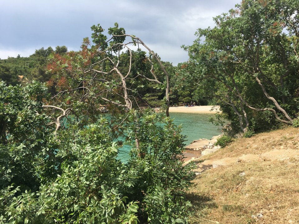 Kvarner: Krk > Bucht Jert