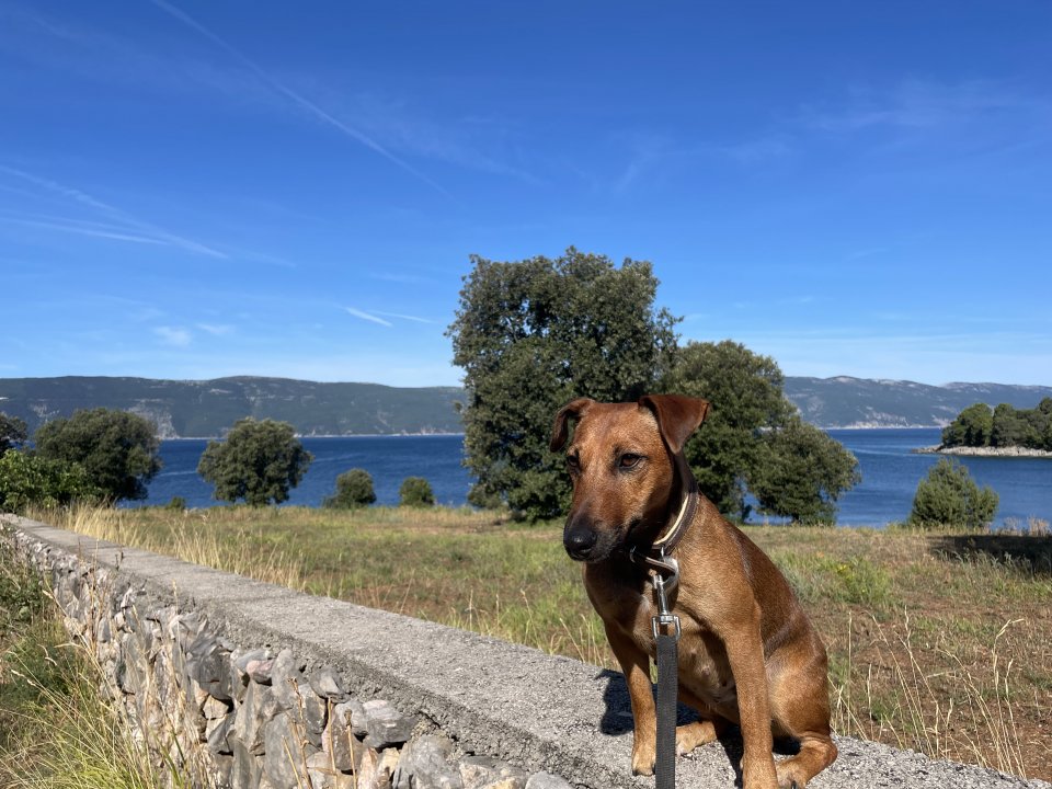 Kvarner - Krk - Lauerstellung