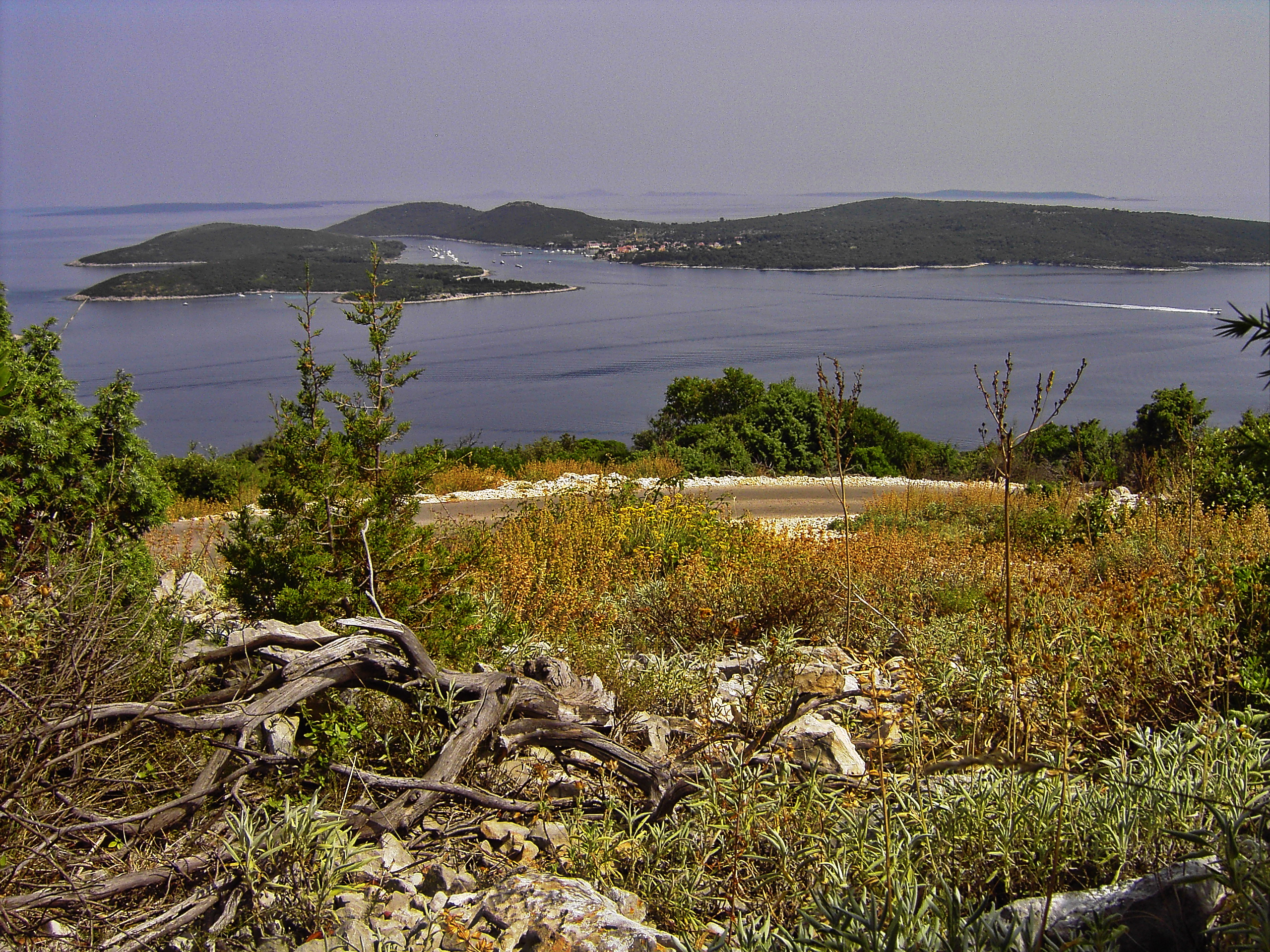 Kvarner: MALI LOSINJ > Blick auf Ilovik
