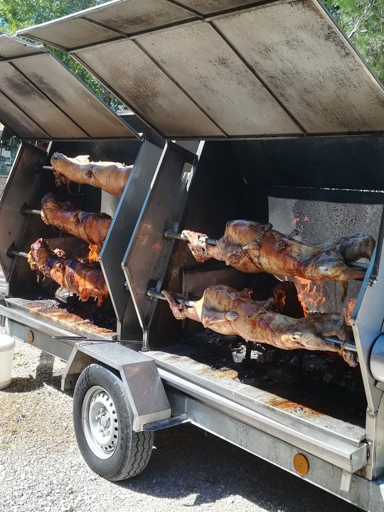 Kvarner: NJIVICE auf Krk> Ferkel