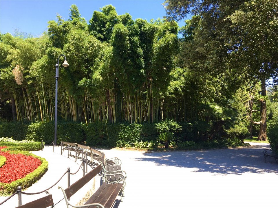 KVARNER - Opatija - Bambus