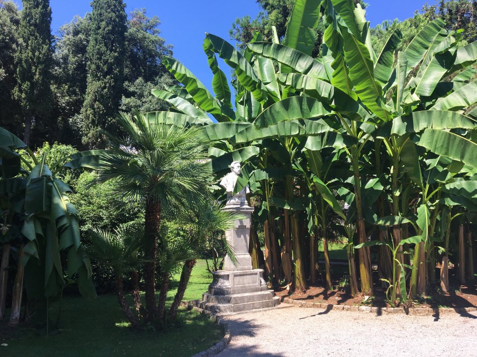 KVARNER - Opatija - Palmen und Bananen