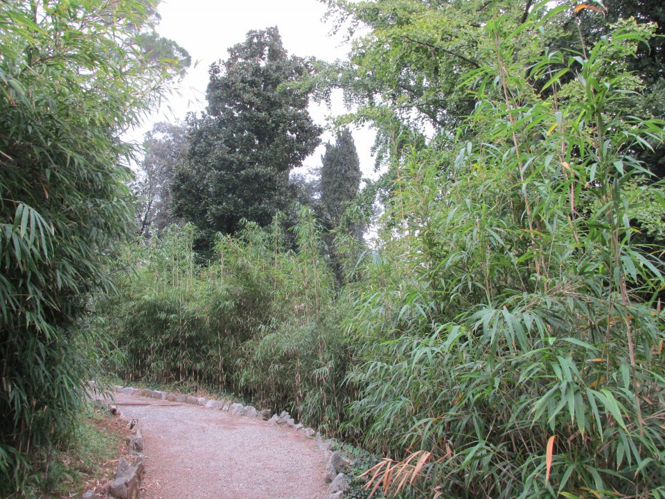 Kvarner: Opatija < Park Angiolina