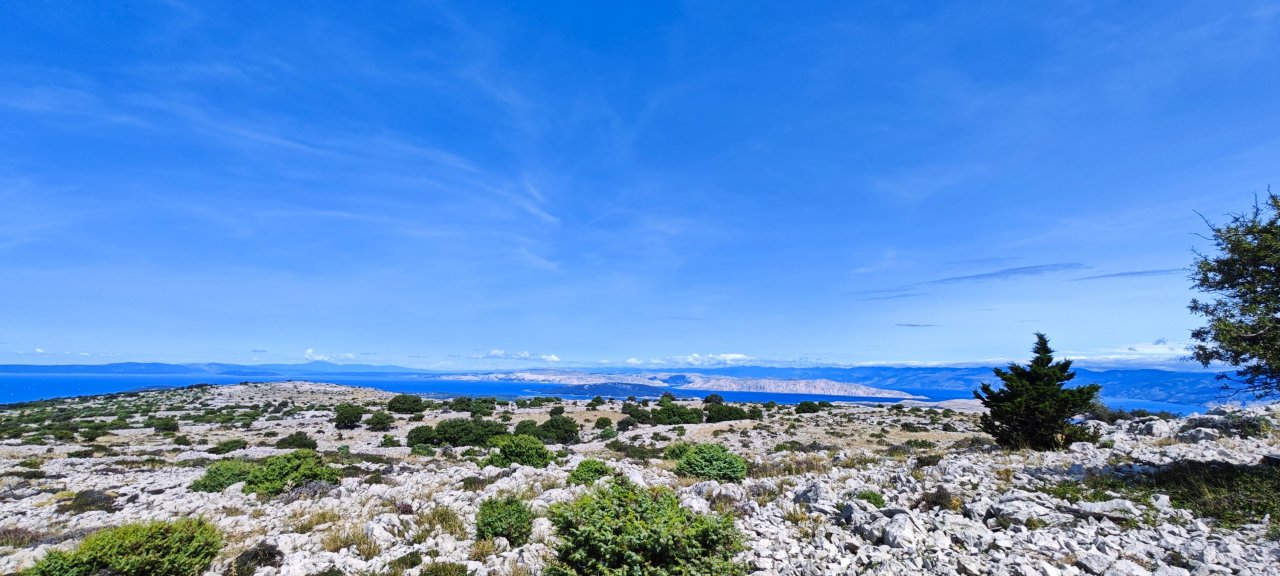 Kvarner : RAB > Kamenjak