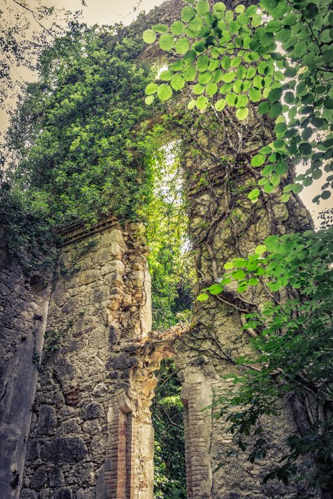 Kvarner: Rijeka > Ruine im Wald