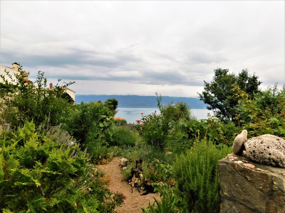 Kvarner: Vrbnik> Krk> wilder Garten