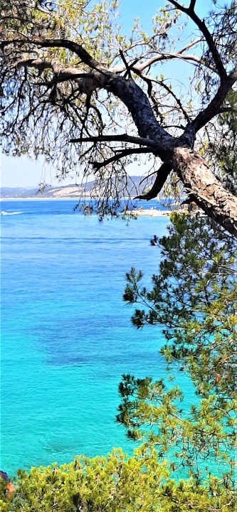 Maslinica - Insel Solta