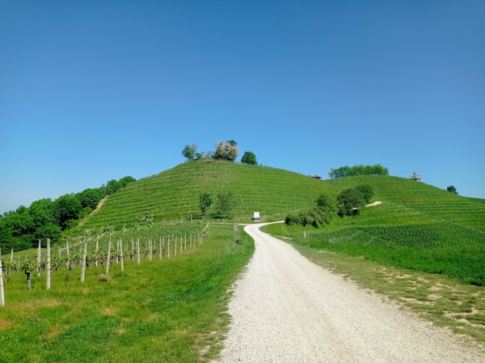 Nord-Kroatien: Strigova> Berg