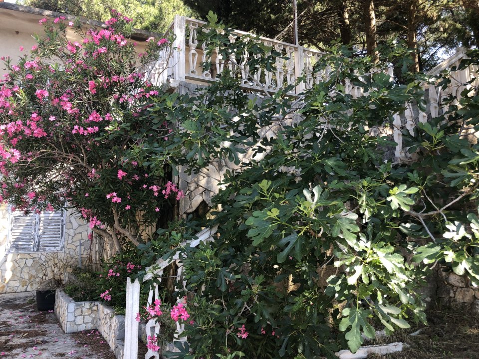 Norddalmatien: Pag >Luka  Mandre - Treppenaufgang