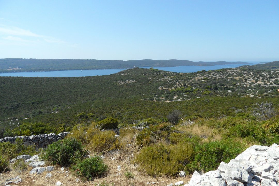 Norddalmatien: ZVERINAC > Blick auf Dugi Otok