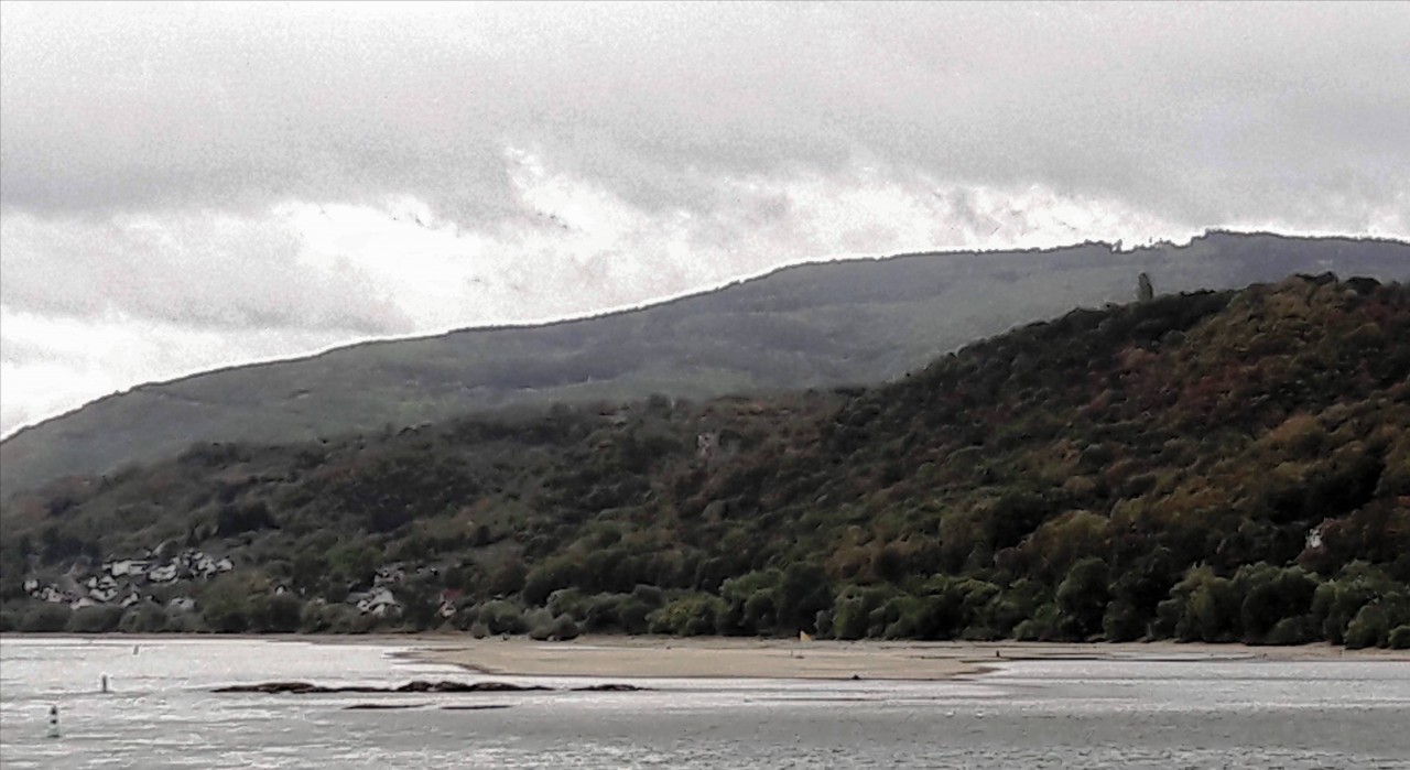 Rhein Niedrigwasser.jpg