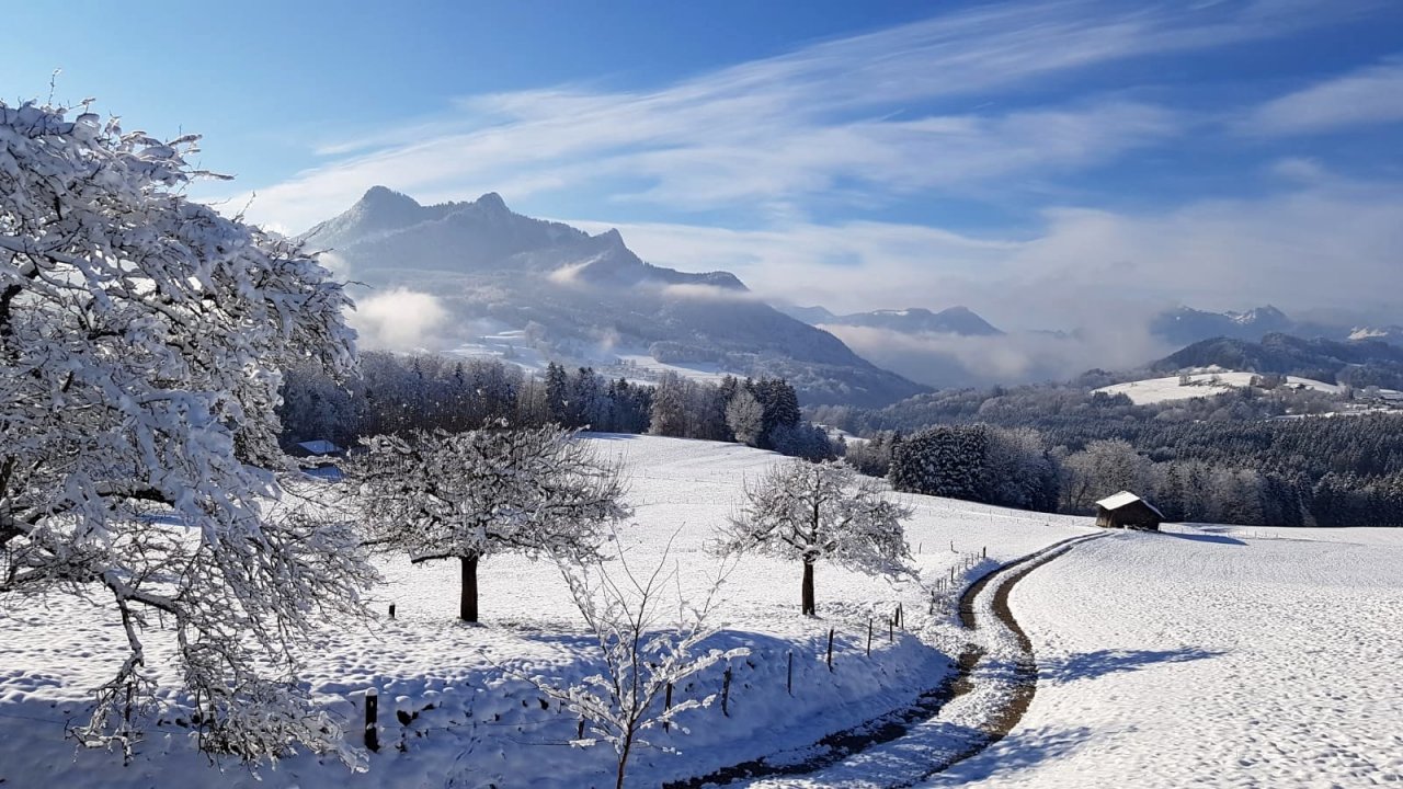 Samerberg im Winterkleid .jpg