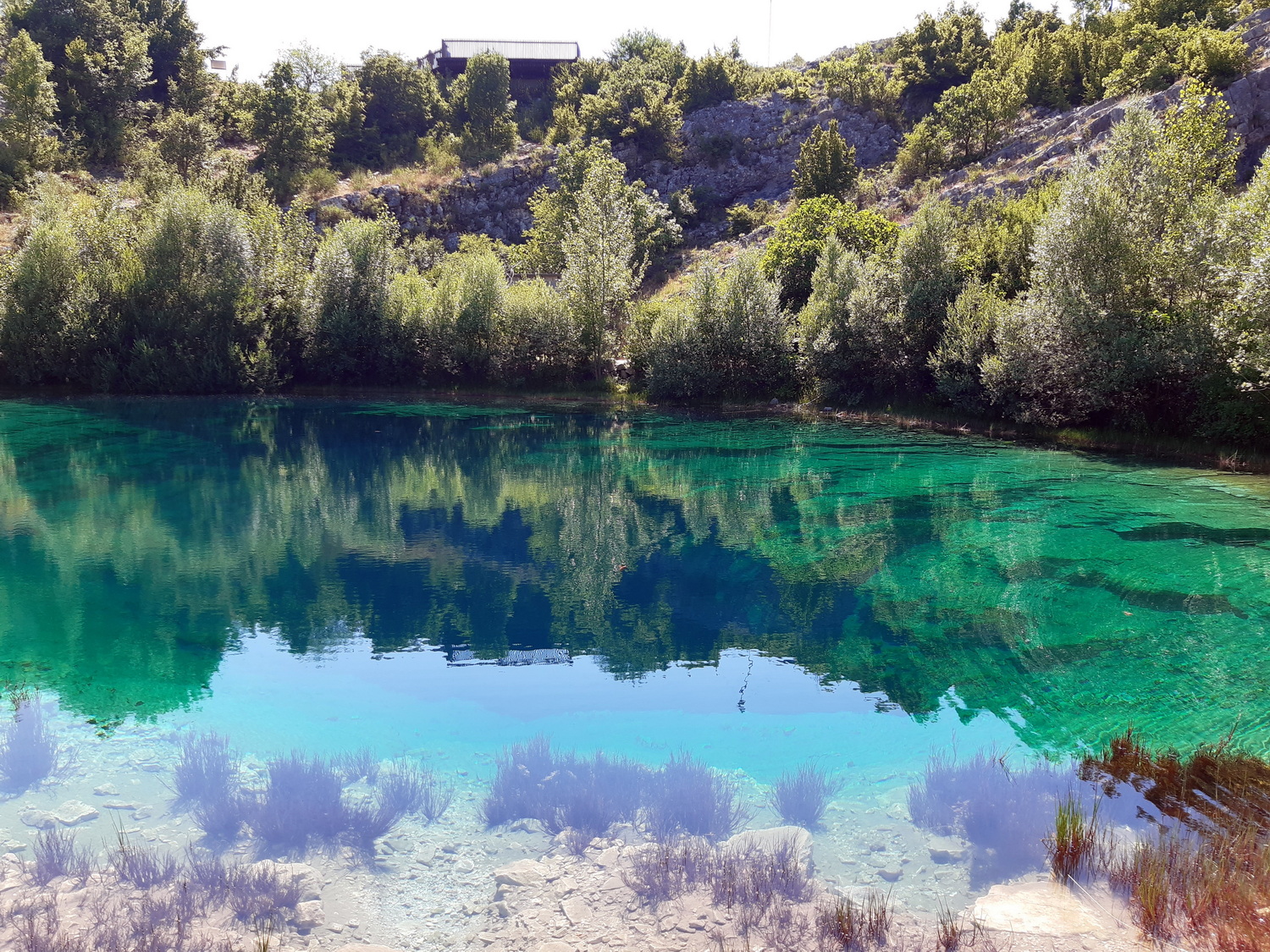 Spiegelung an der Quelle der Cetina_klein.jpg