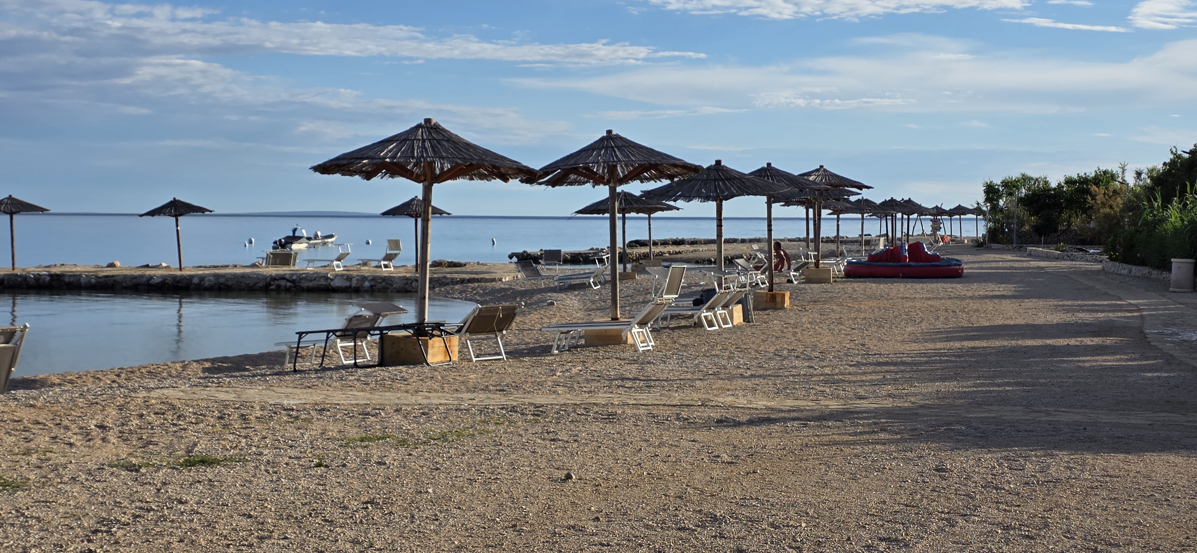 Strand Terra Phalaris 2