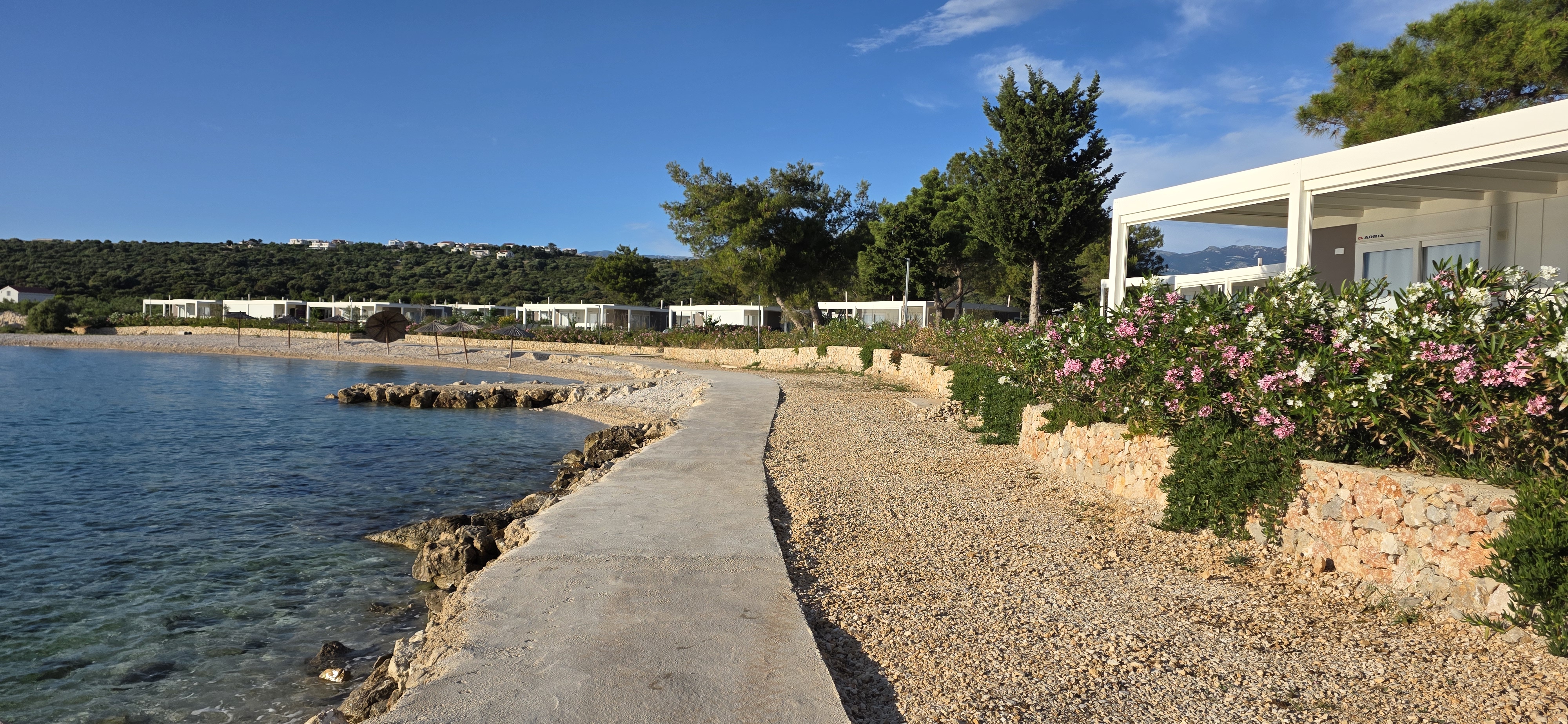 Strand Terra Phalaris 5