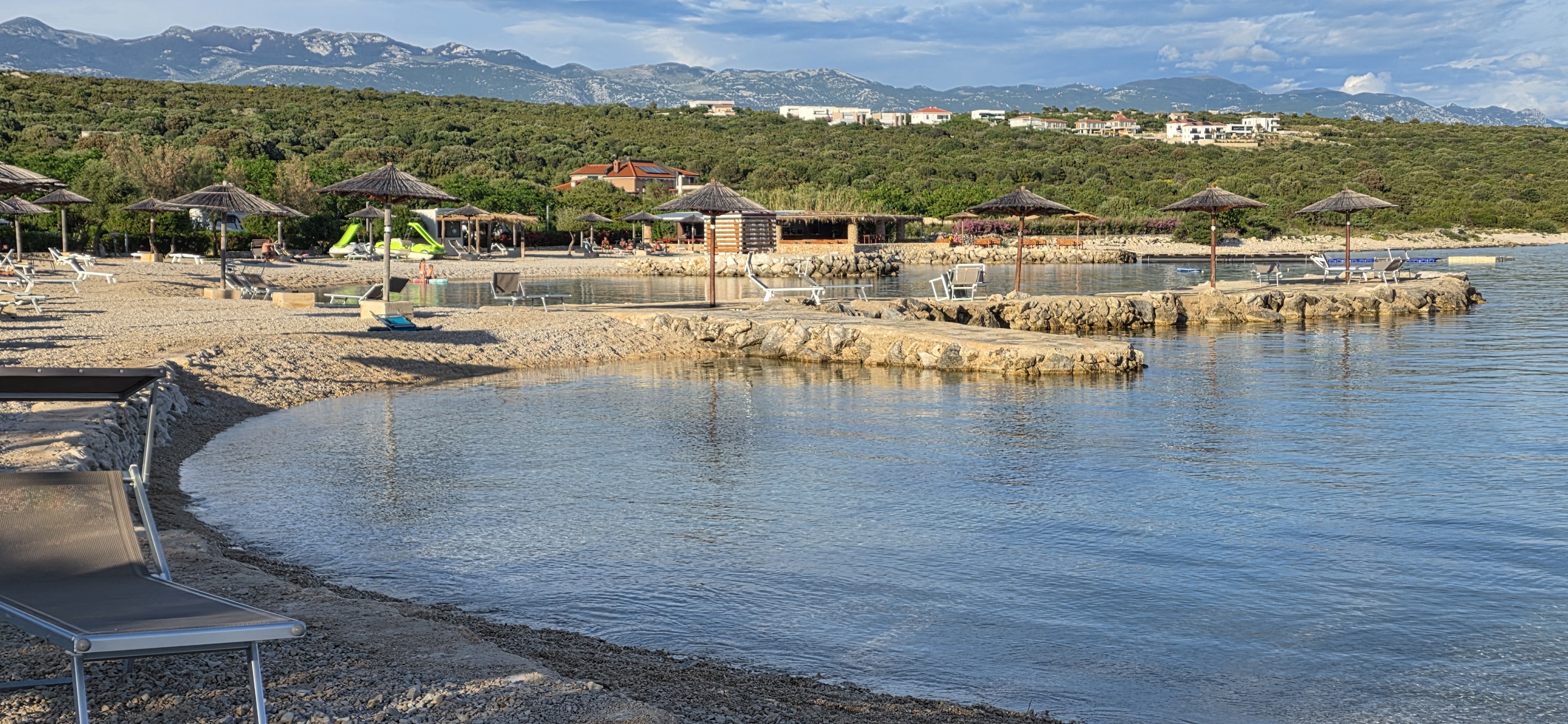 Strand Terra Phalaris