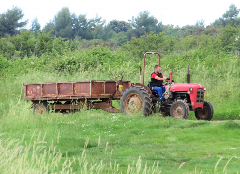 und er läuft und läuft