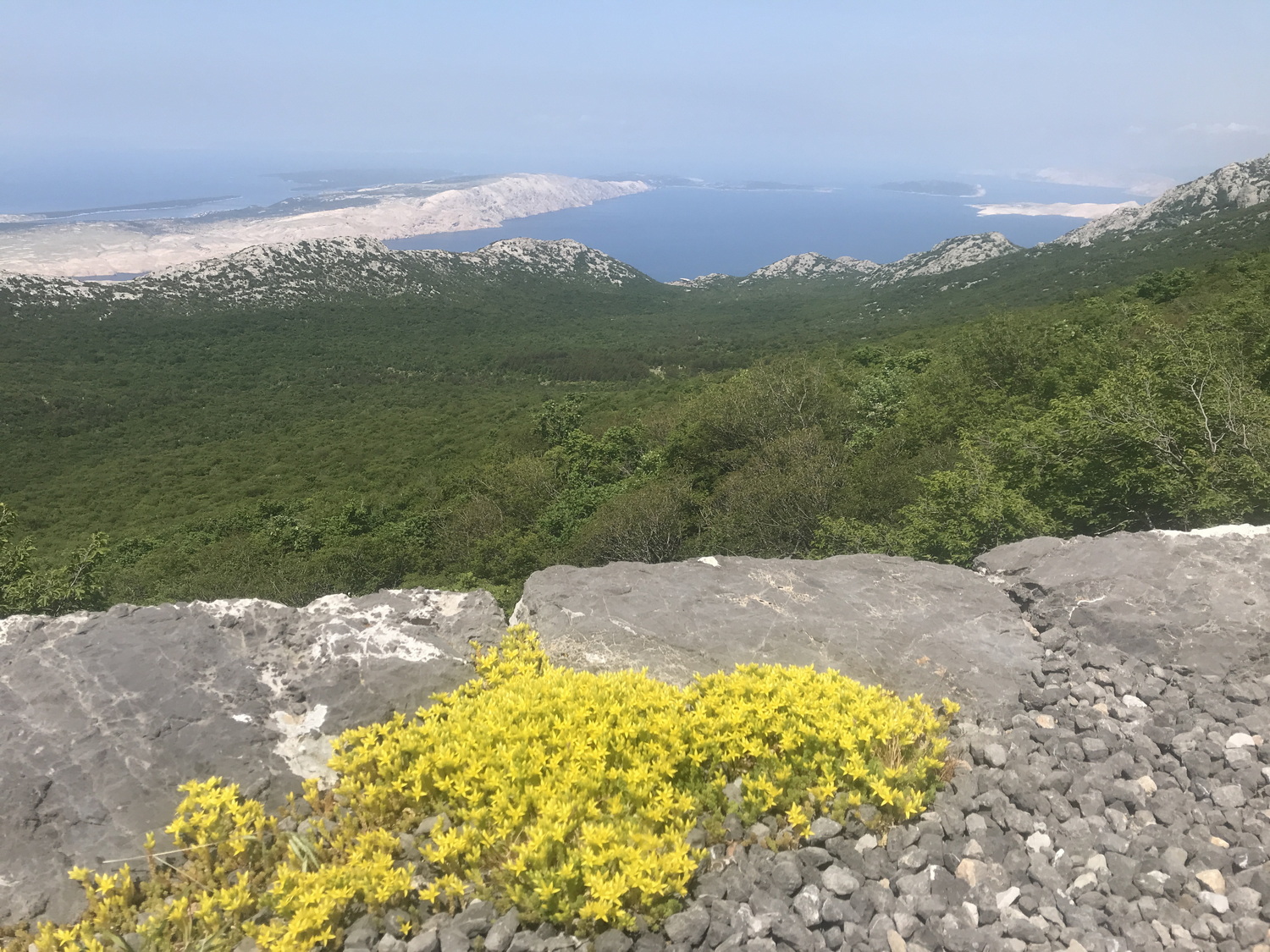 Veli Alan Pass_klein.JPG