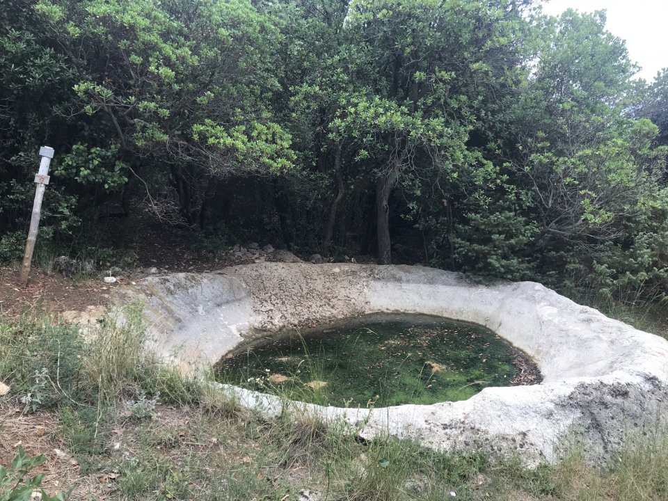 Wanderung Crna Punta 06 (4).jpg