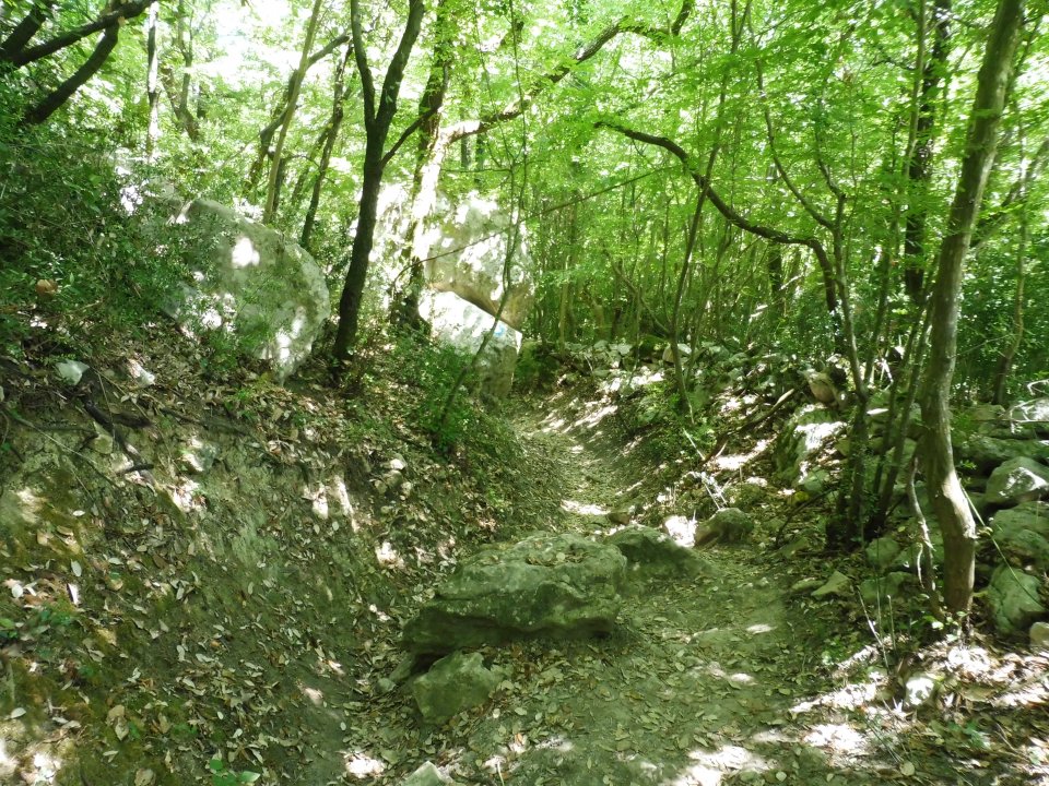 Wanderung Rabac 06 (37).JPG