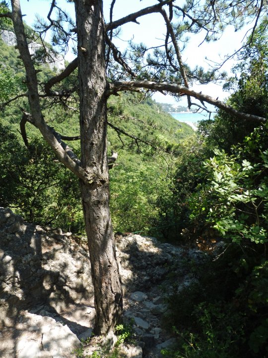 Wanderung Rabac 06 (6).JPG