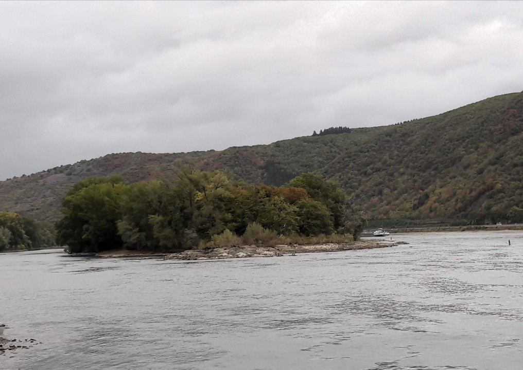 Weininsel Heyles` en Werth Bacharach.jpg